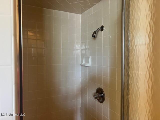 interior details featuring walk in shower