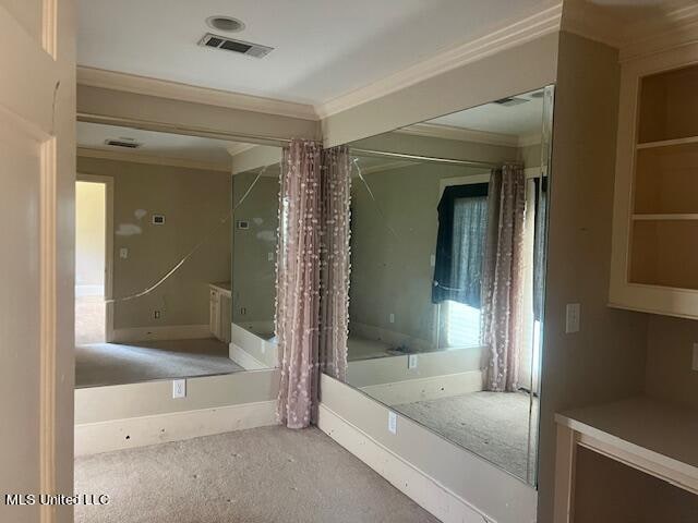 bathroom with crown molding