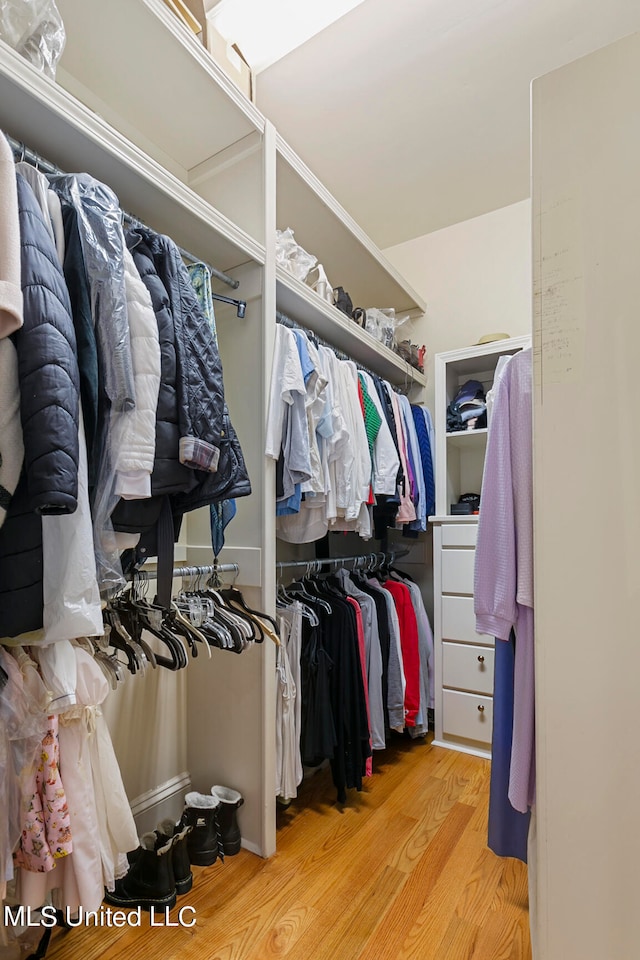 spacious closet with light wood-type flooring