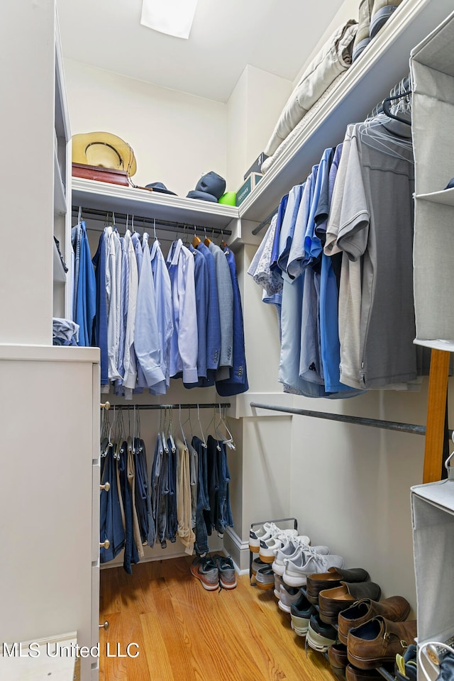 spacious closet with wood-type flooring