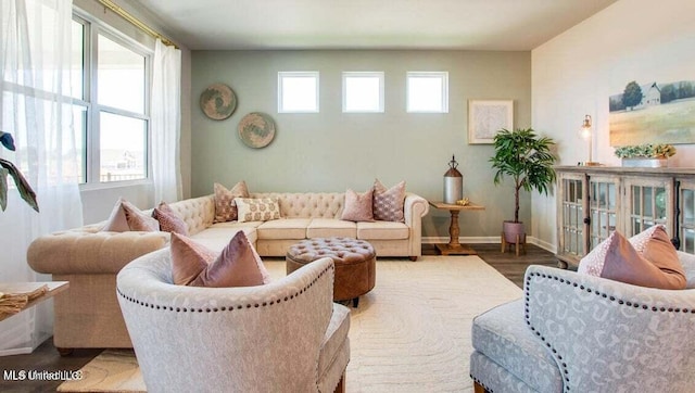 living room with a healthy amount of sunlight and wood-type flooring