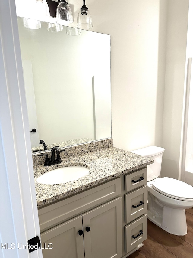 bathroom featuring vanity, hardwood / wood-style floors, and toilet