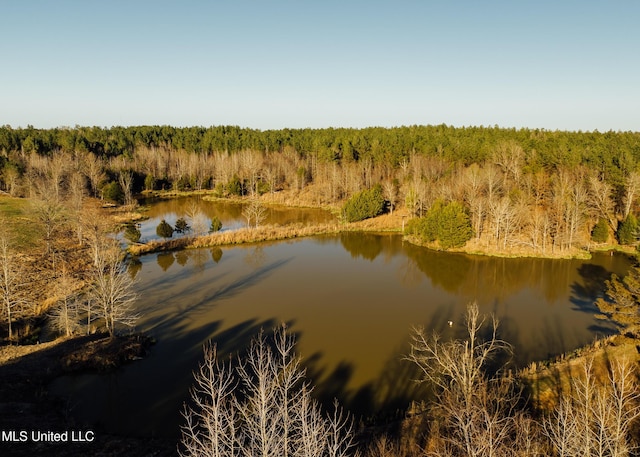 Alfred Phelps Ln, Lexington, MS 39095