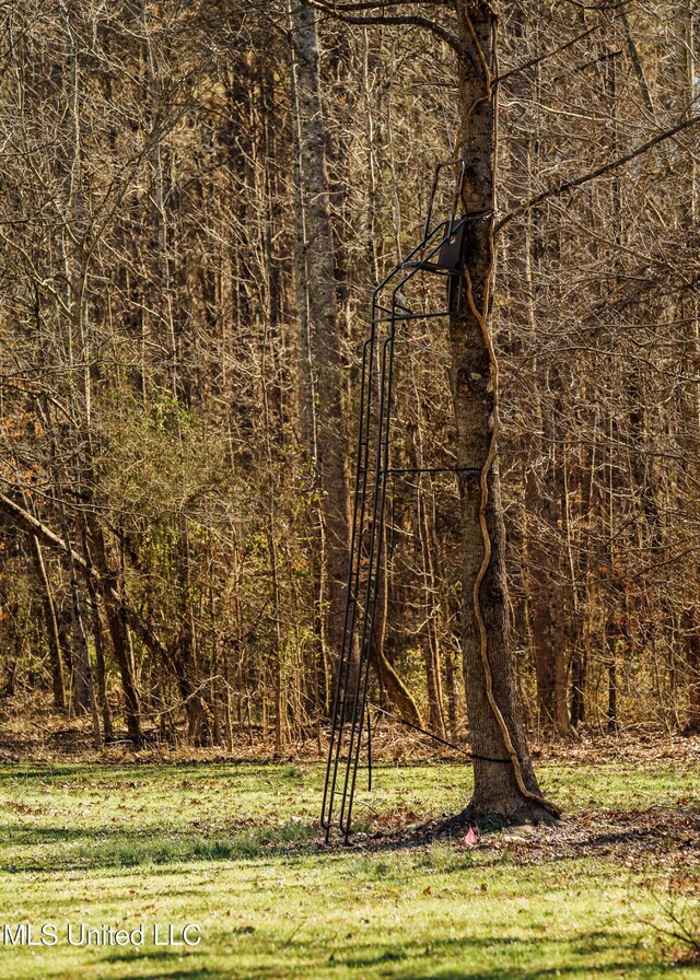 Alfred Phelps Ln, Lexington, MS 39095