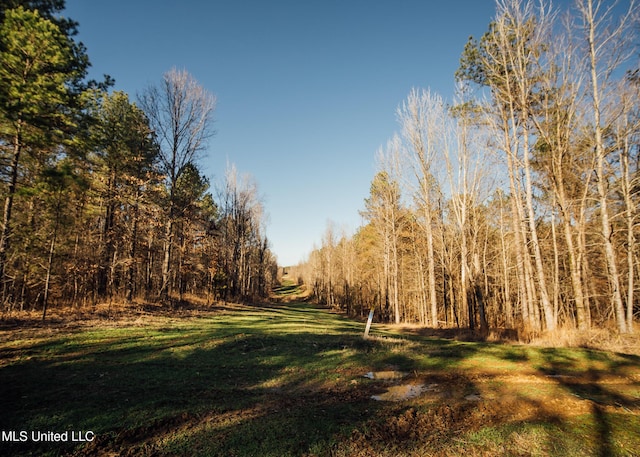 Alfred Phelps Ln, Lexington, MS 39095