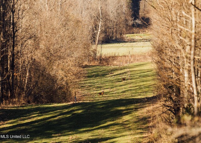 Alfred Phelps Ln, Lexington, MS 39095
