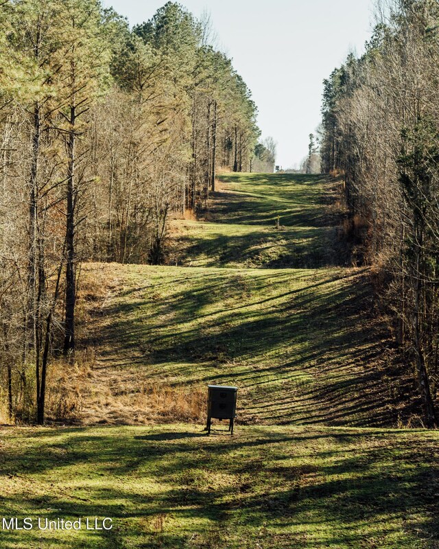 Alfred Phelps Ln, Lexington, MS 39095