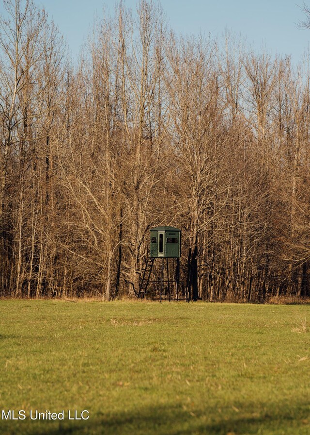 Alfred Phelps Ln, Lexington, MS 39095