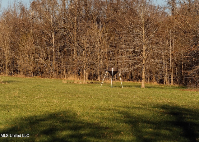 Alfred Phelps Ln, Lexington, MS 39095