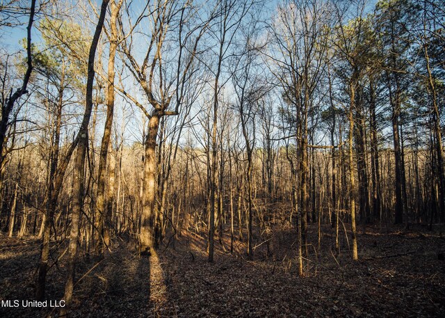 Alfred Phelps Ln, Lexington, MS 39095