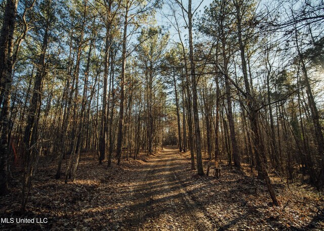 Alfred Phelps Ln, Lexington, MS 39095
