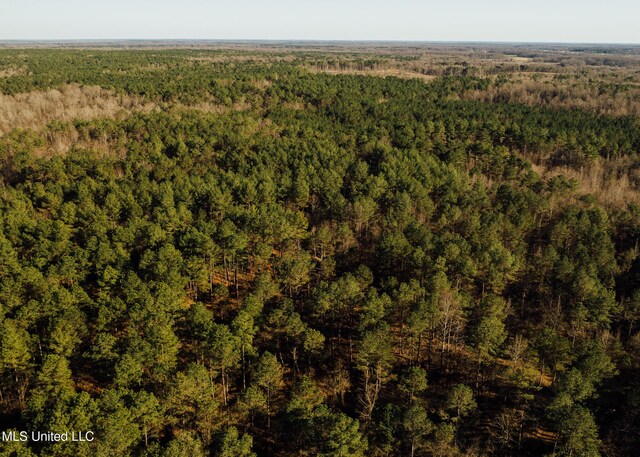 Alfred Phelps Ln, Lexington, MS 39095