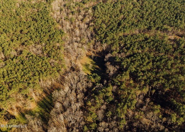 Alfred Phelps Ln, Lexington, MS 39095