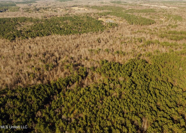 Alfred Phelps Ln, Lexington, MS 39095