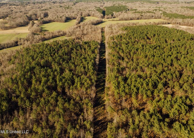 Alfred Phelps Ln, Lexington, MS 39095