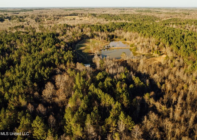 Alfred Phelps Ln, Lexington, MS 39095