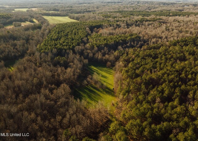 Alfred Phelps Ln, Lexington, MS 39095