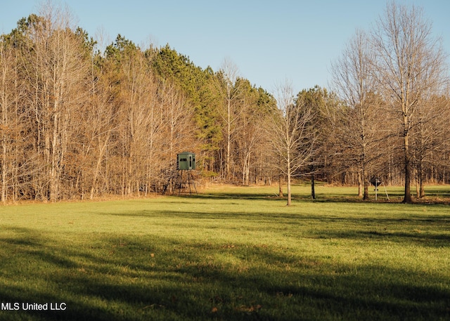 Alfred Phelps Ln, Lexington, MS 39095