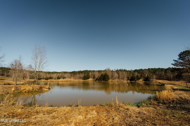 Alfred Phelps Ln, Lexington, MS 39095