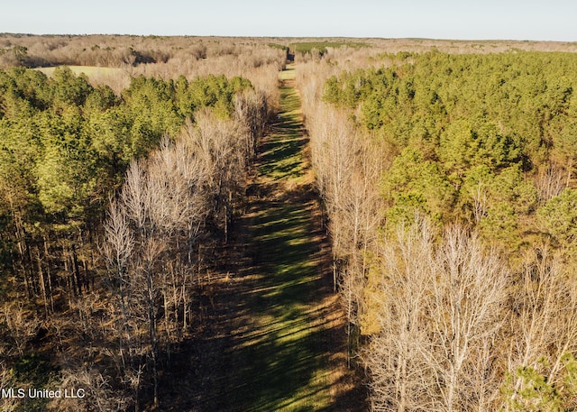 Alfred Phelps Ln, Lexington, MS 39095