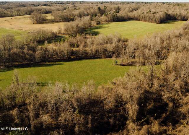 Alfred Phelps Ln, Lexington, MS 39095