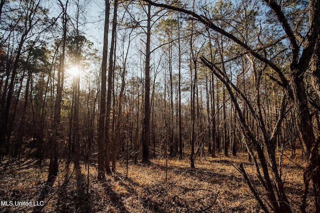 Alfred Phelps Ln, Lexington, MS 39095