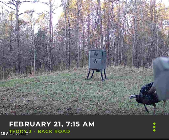 Alfred Phelps Ln, Lexington, MS 39095