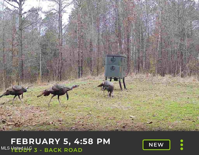Alfred Phelps Ln, Lexington, MS 39095