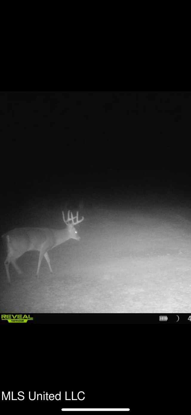 Alfred Phelps Ln, Lexington, MS 39095