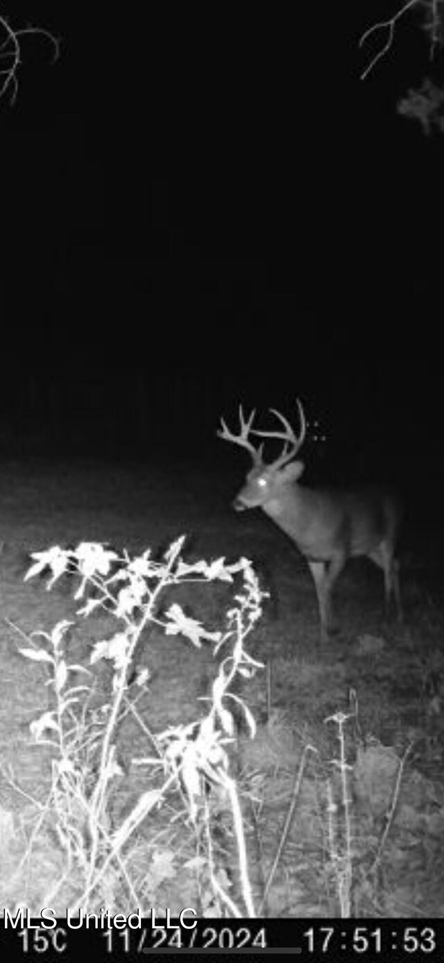 Alfred Phelps Ln, Lexington, MS 39095