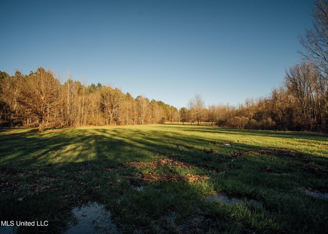 Alfred Phelps Ln, Lexington, MS 39095