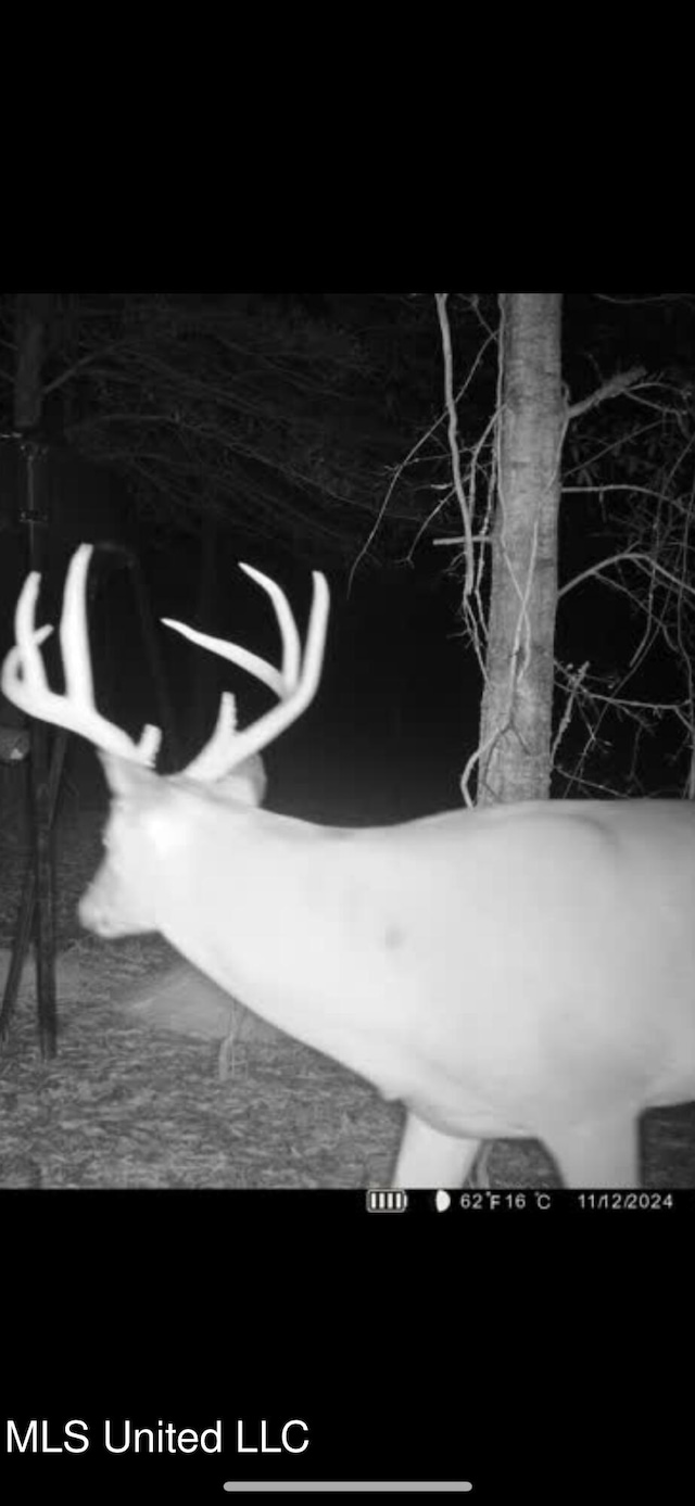 Alfred Phelps Ln, Lexington, MS 39095