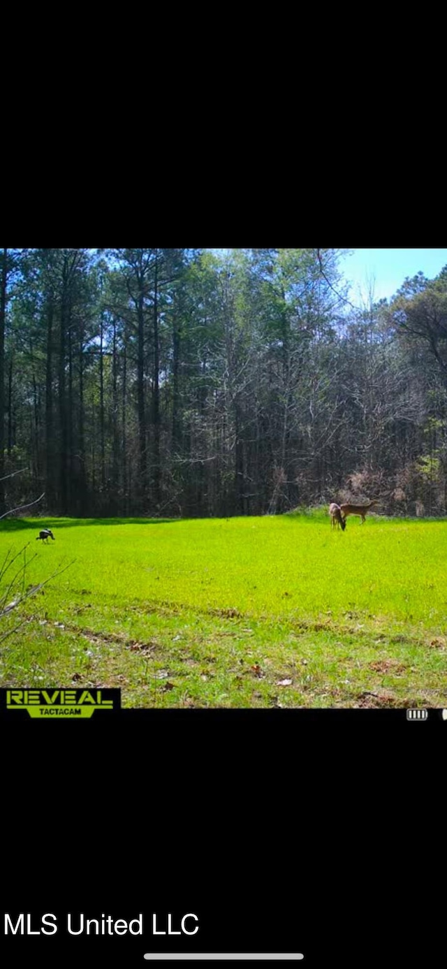 Alfred Phelps Ln, Lexington, MS 39095