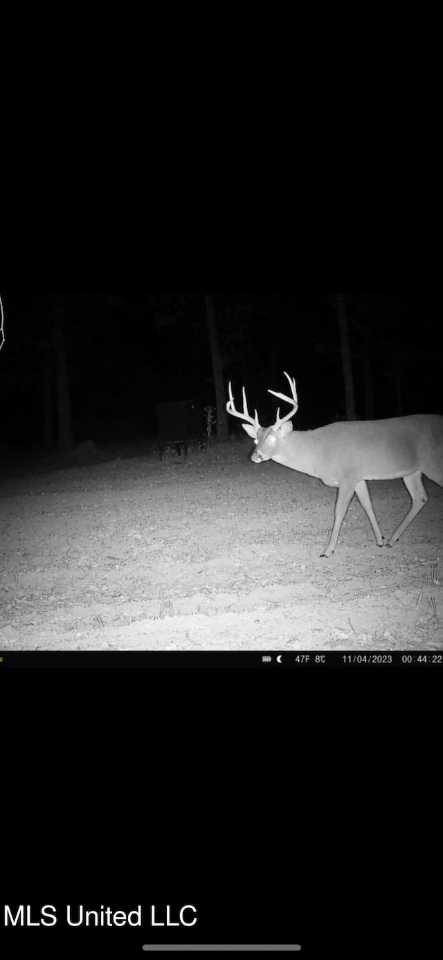 Alfred Phelps Ln, Lexington, MS 39095