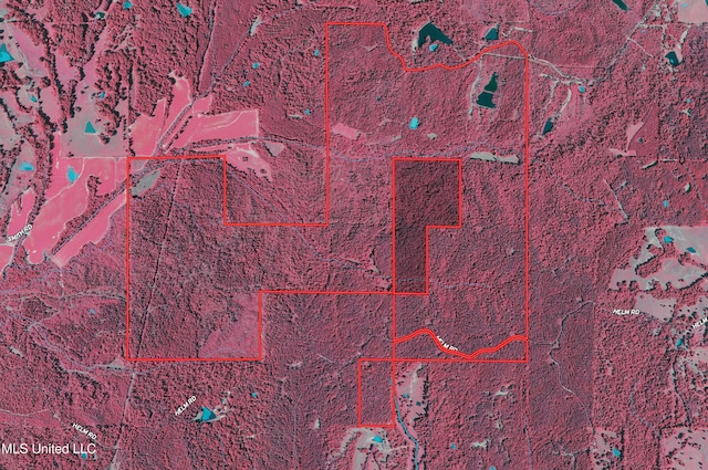 Alfred Phelps Ln, Lexington, MS 39095