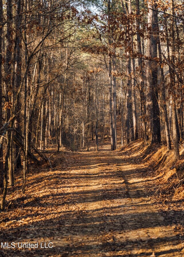 Alfred Phelps Ln, Lexington, MS 39095