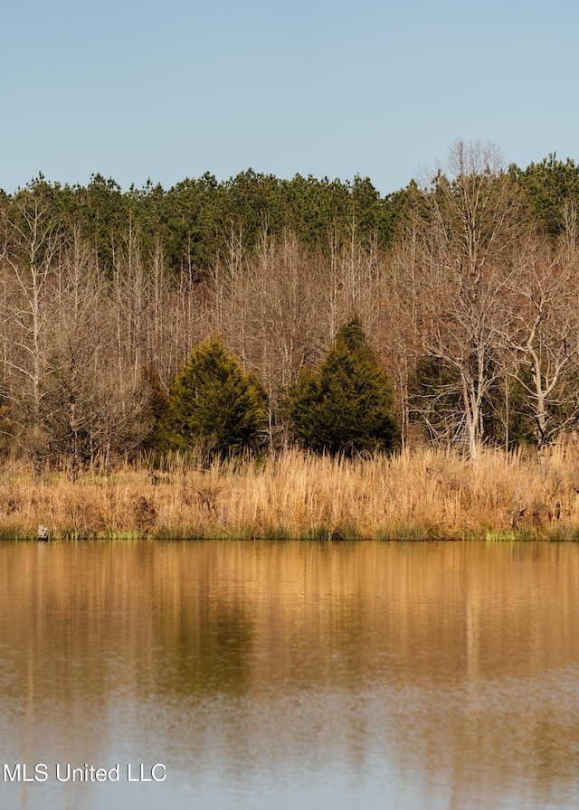 Alfred Phelps Ln, Lexington, MS 39095
