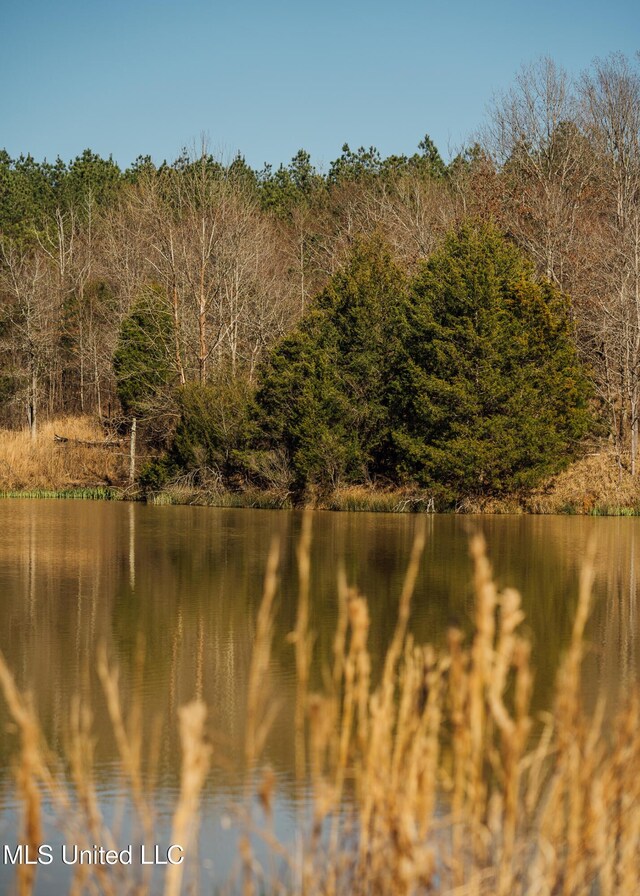Alfred Phelps Ln, Lexington, MS 39095