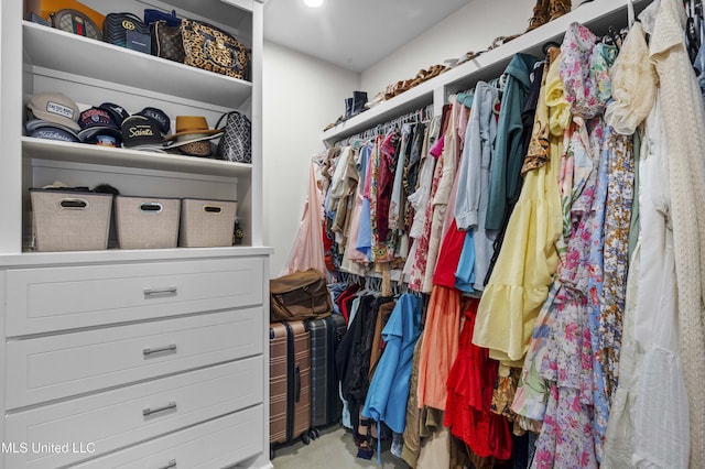 212 Ashbury Cv, Canton, MS 39046 - view of walk in closet
