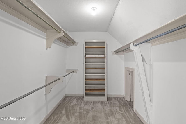 316 Meadow Creek Pl, Jackson, MS 39211 - walk in closet with light carpet