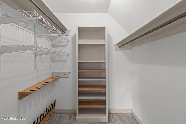 316 Meadow Creek Pl, Jackson, MS 39211 - walk in closet featuring carpet flooring