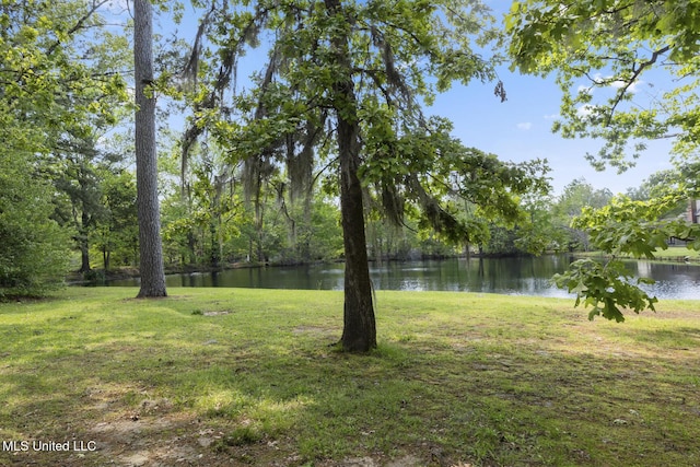 39 Moss Forest Cir, Jackson, MS 39211 - view of yard with a water view
