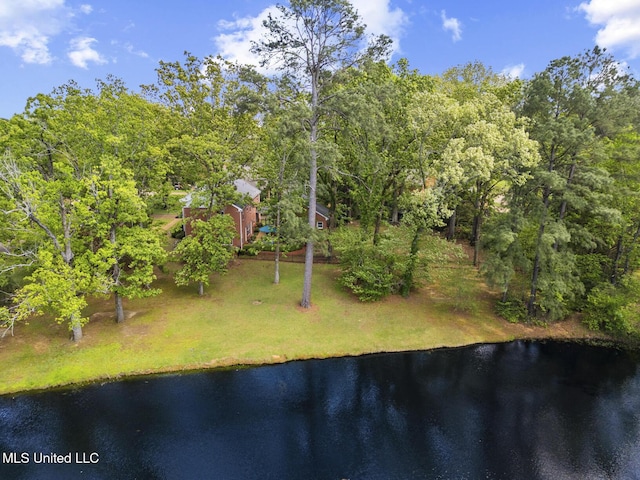 39 Moss Forest Cir, Jackson, MS 39211 - exterior space with a water view