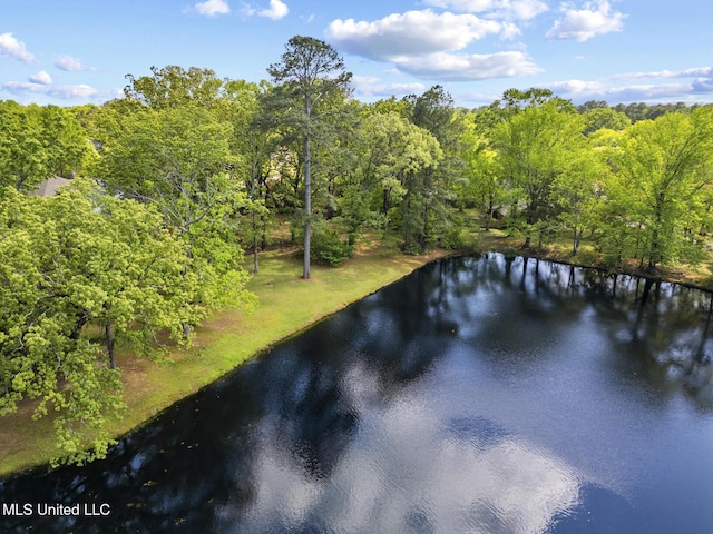 39 Moss Forest Cir, Jackson, MS 39211 - view of water feature with a view of trees