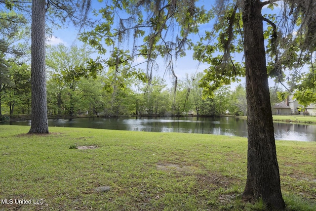 39 Moss Forest Cir, Jackson, MS 39211 - water view