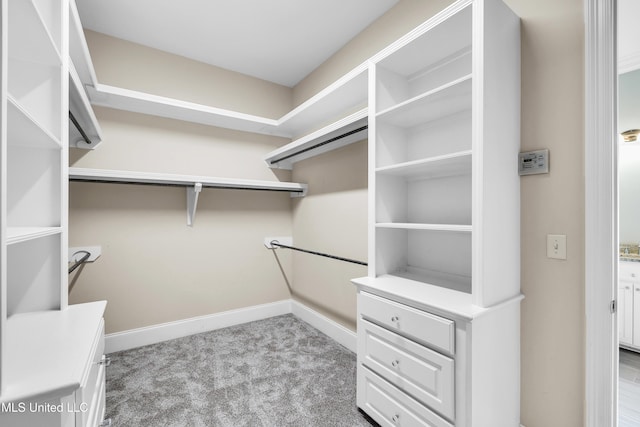 413 Miles Cv, Brandon, MS 39047 - walk in closet with carpet floors