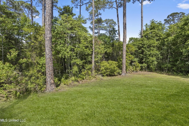 view of yard with a forest view