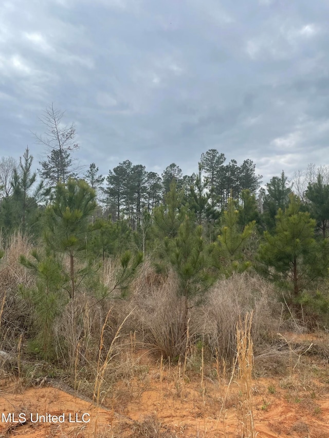 County Road 419, Calhoun City MS, 38916 land for sale