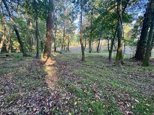 LOT9 Bent Crk, Picayune MS, 39466 land for sale