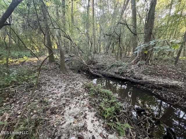 Listing photo 2 for LOT9 Bent Crk, Picayune MS 39466